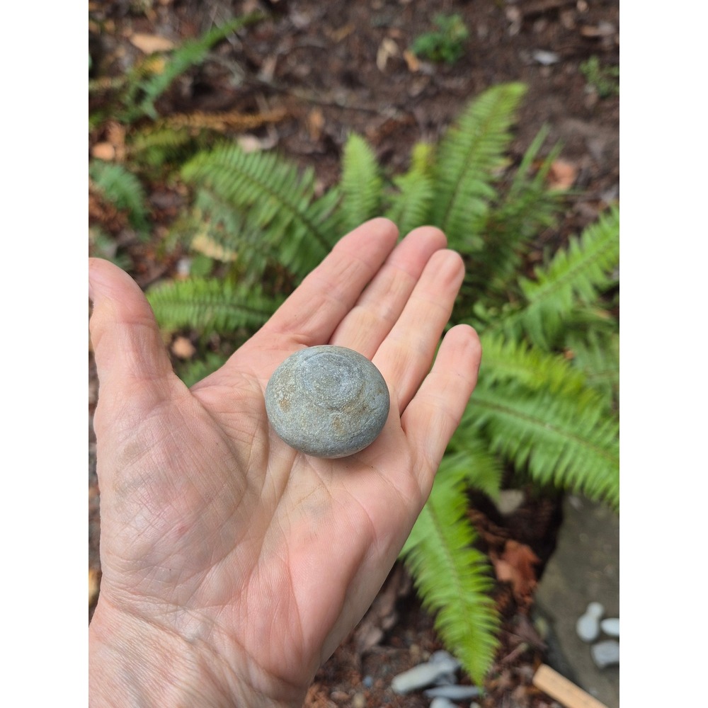 Fox Island WA Natural Fairy Goddess Stones | Set of 4 Wave‑Crafted PNW Talismans - Picture 2 of 14